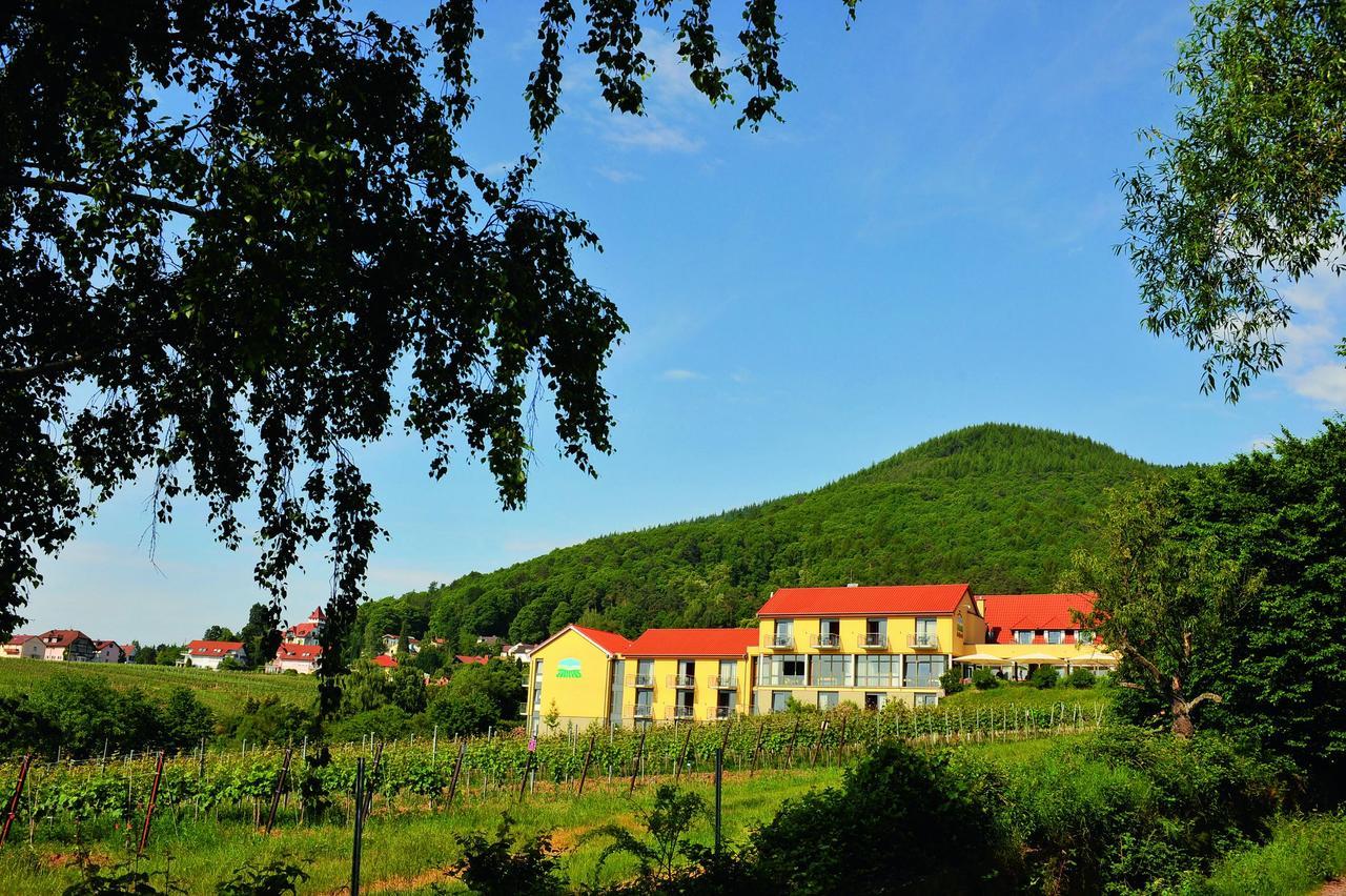 Wohlfuehlhotel Alte Rebschule Rhodt unter Rietburg Extérieur photo